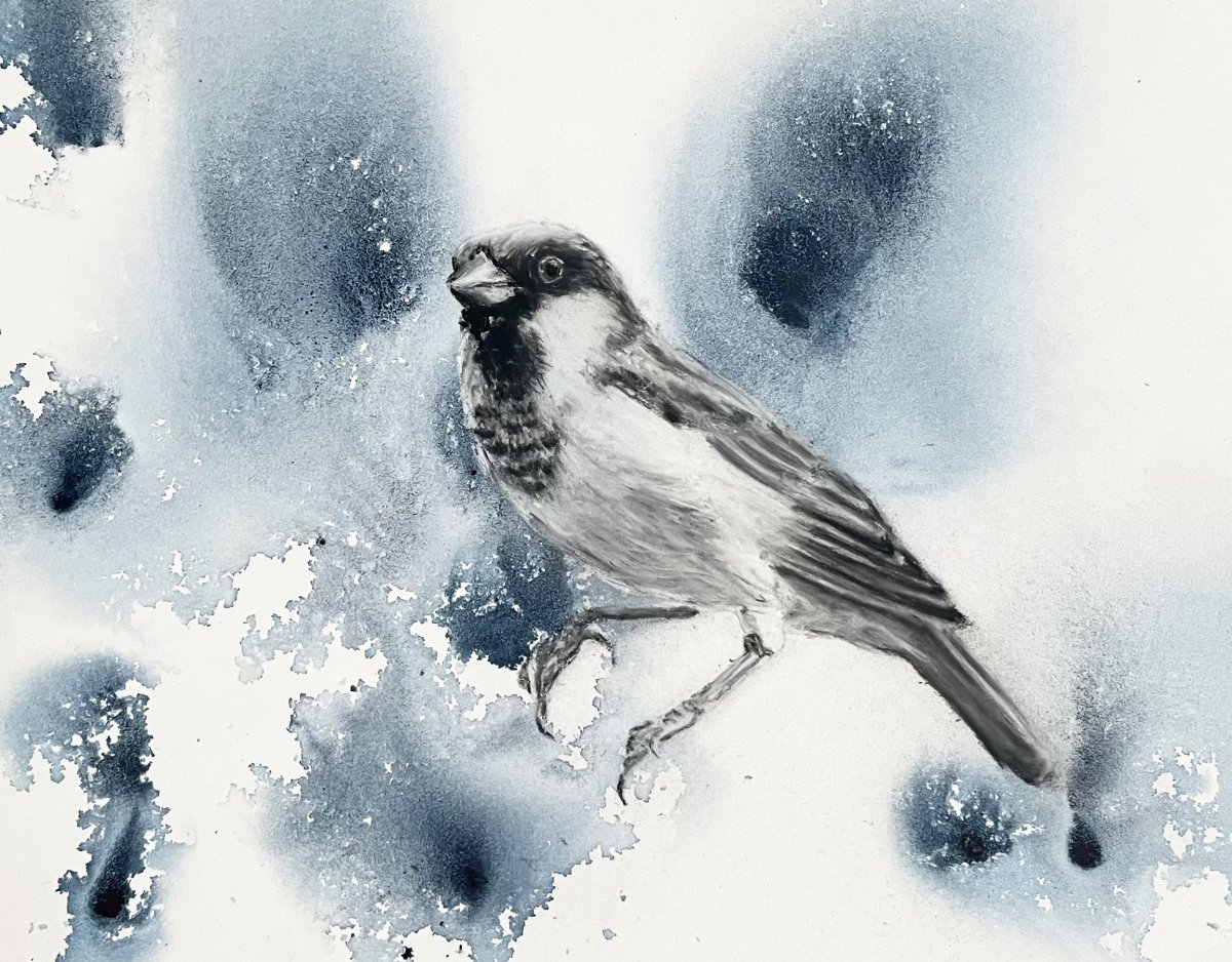 n.f. 1. [ang.] Regroupement spectaculaire  d'oiseaux en vol formant des figures  complexes dans le ciel; 2. Action de parler  à voix basse ou indistincte